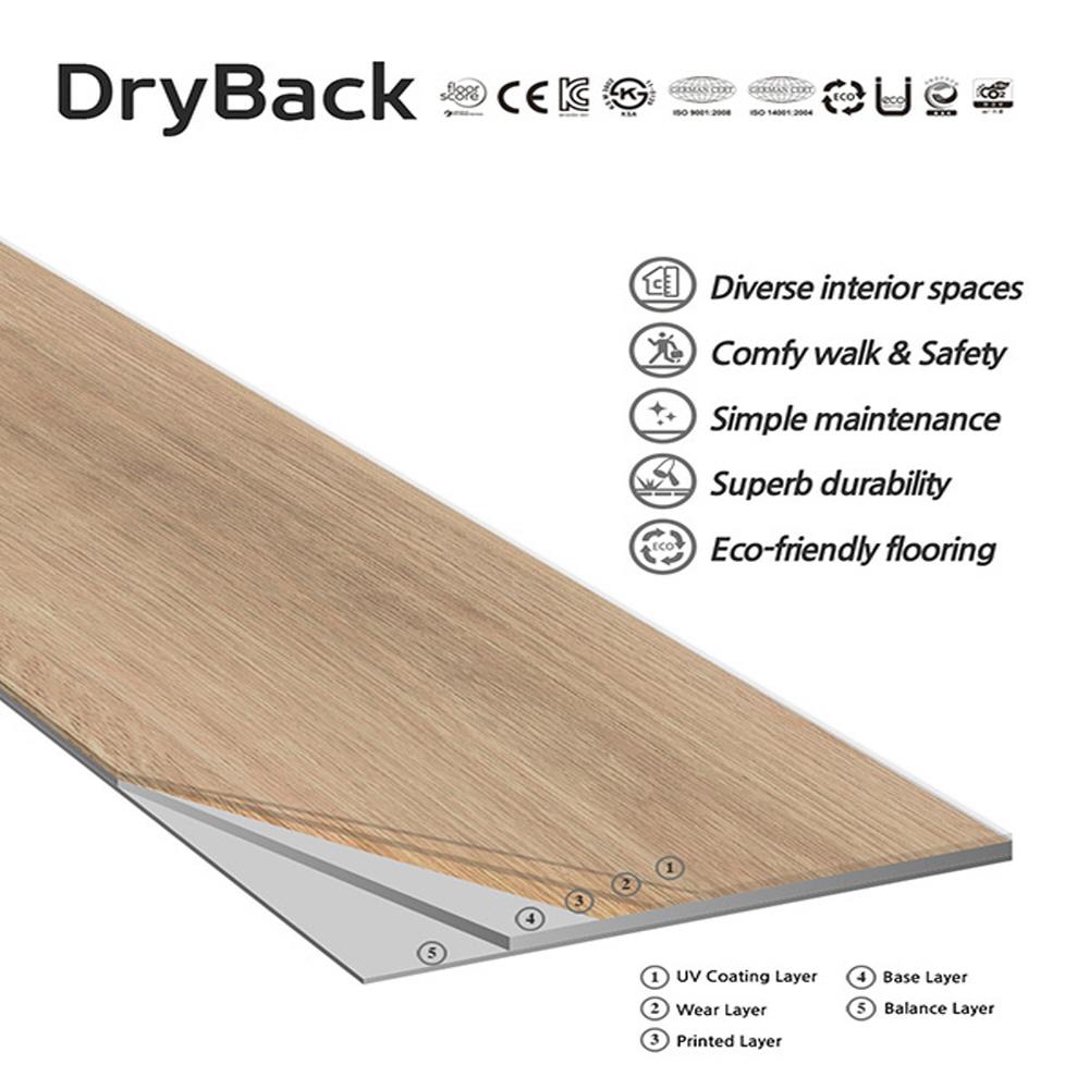 UNIDECO DRY BACK 2