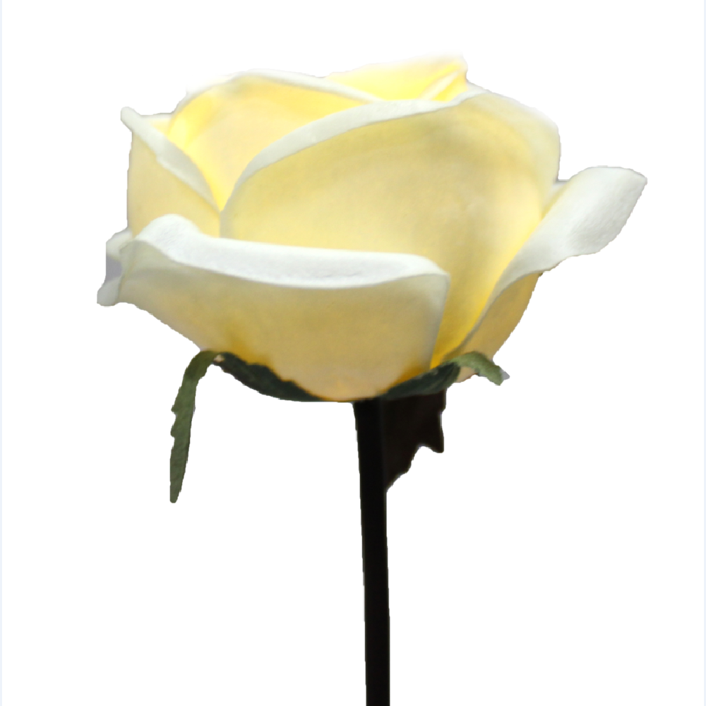 Love Rose LED LIGHT