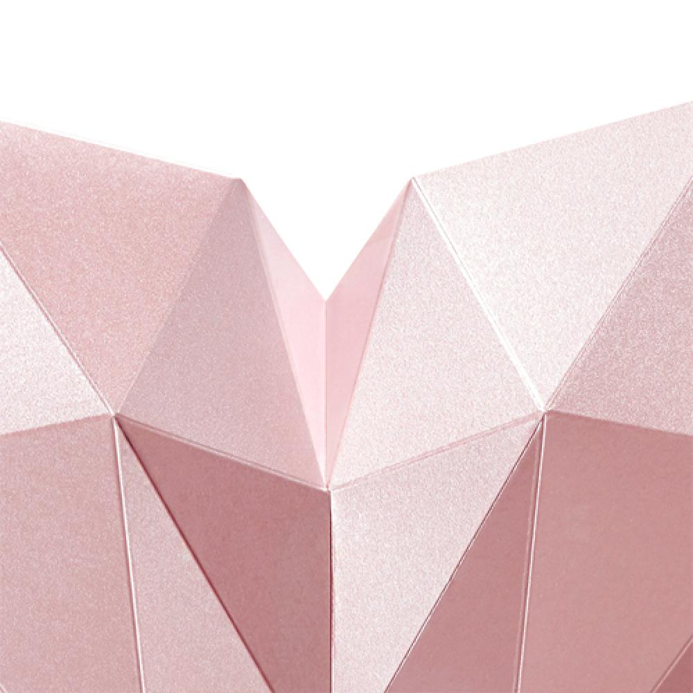 Whale - Paper interior