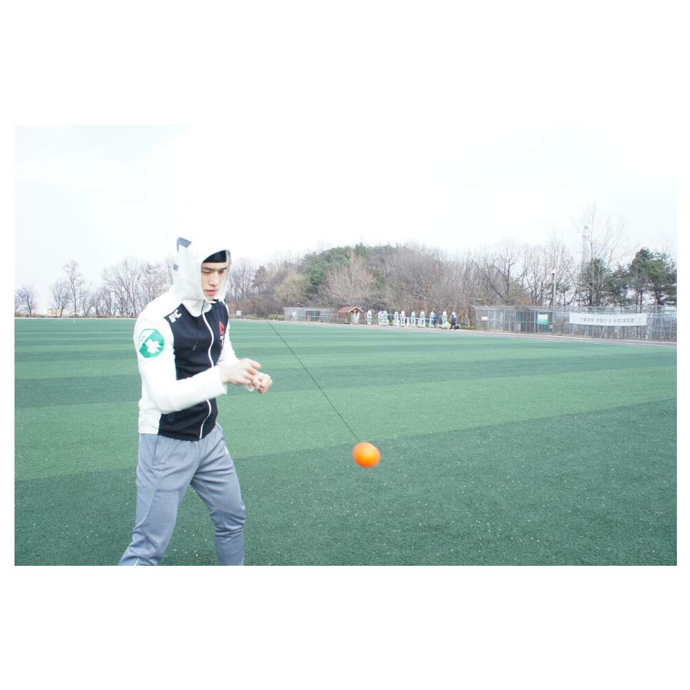 TAP Ball (boxing reflex ball)