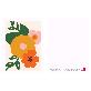 detail image1 2 Types Blooming Postcard _Set of 10