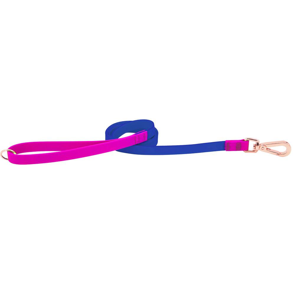 Colorblock Waterproof Leash For Dog Training