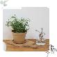 detail image1 Freefactory Flower Plant Pot with Drainage Holes and Saucer Tray(Medium/Brown)